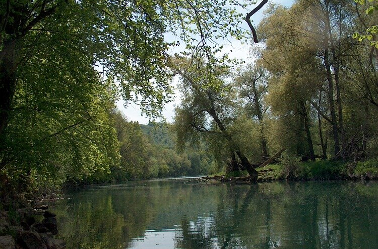 Aarelandschaft im Wildischachen Brugg. Foto WS 2009.