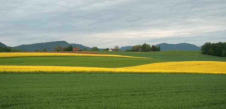 B�zberghochebene. Foto WS 2009.