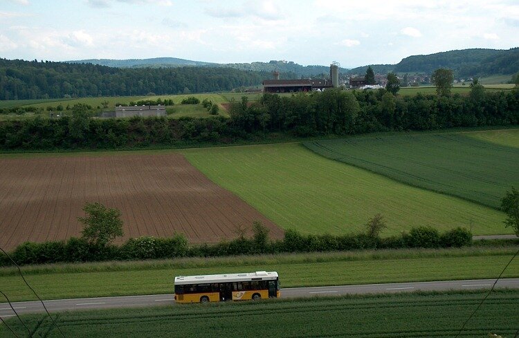 Postauto unterwegs wischen R�fenach und Remigen. Foto WS 2010.