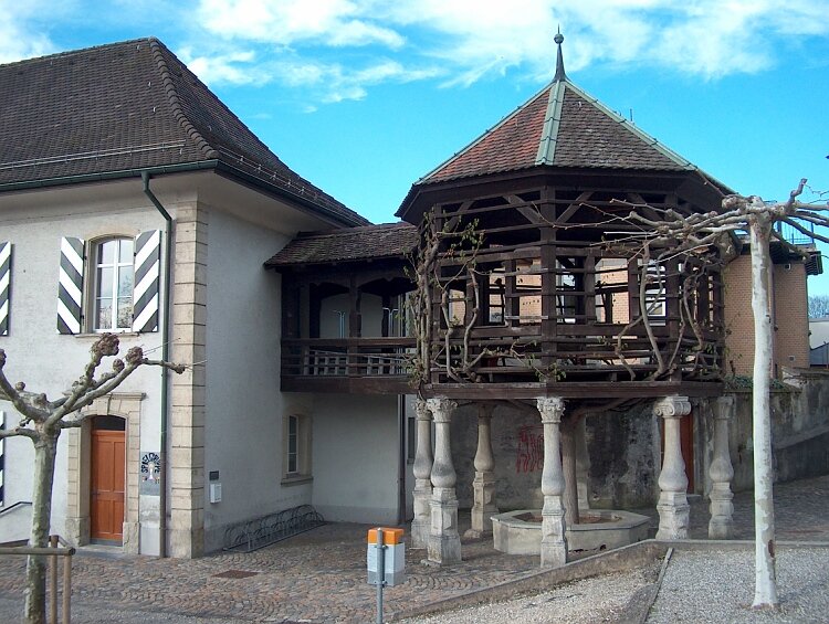 Sch�tzenpavillon mit zerlegter Linde und Sch�tzenhaus. Foto WS 2012.